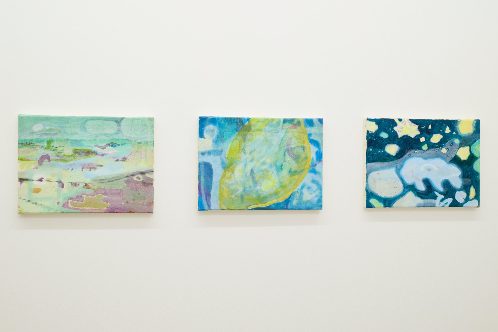 Installation view 10 of Yuka Kashihara’s work in Changing in the Light, Tomio Koyama Gallery, Kyobashi, 2025.